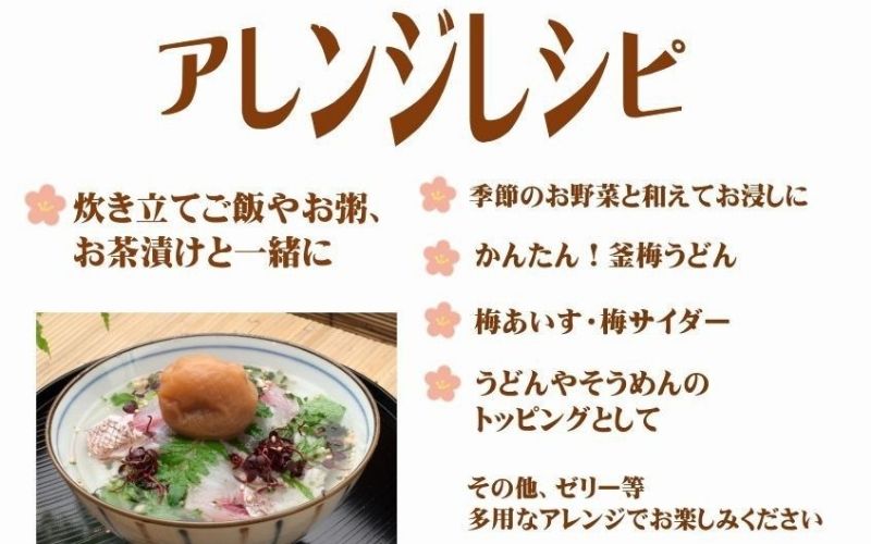 紀州南高梅 はちみつ 850g 塩分 約10％ 【yamada008A】