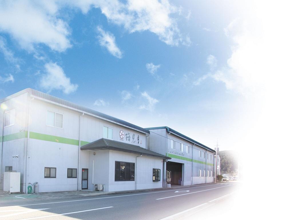 はちみつ梅 梅干し 紀州南高梅 大粒 みつ大玉 800g（塩分8％） 高級　mryms001A