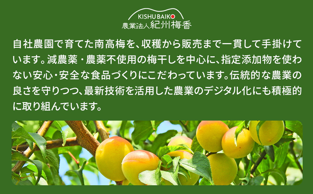 国産はちみつ梅 無添加 梅干し 訳あり つぶれ梅 低塩6% 1kg(500g×2パック) 化学調味料 無添加食品 baiko001A