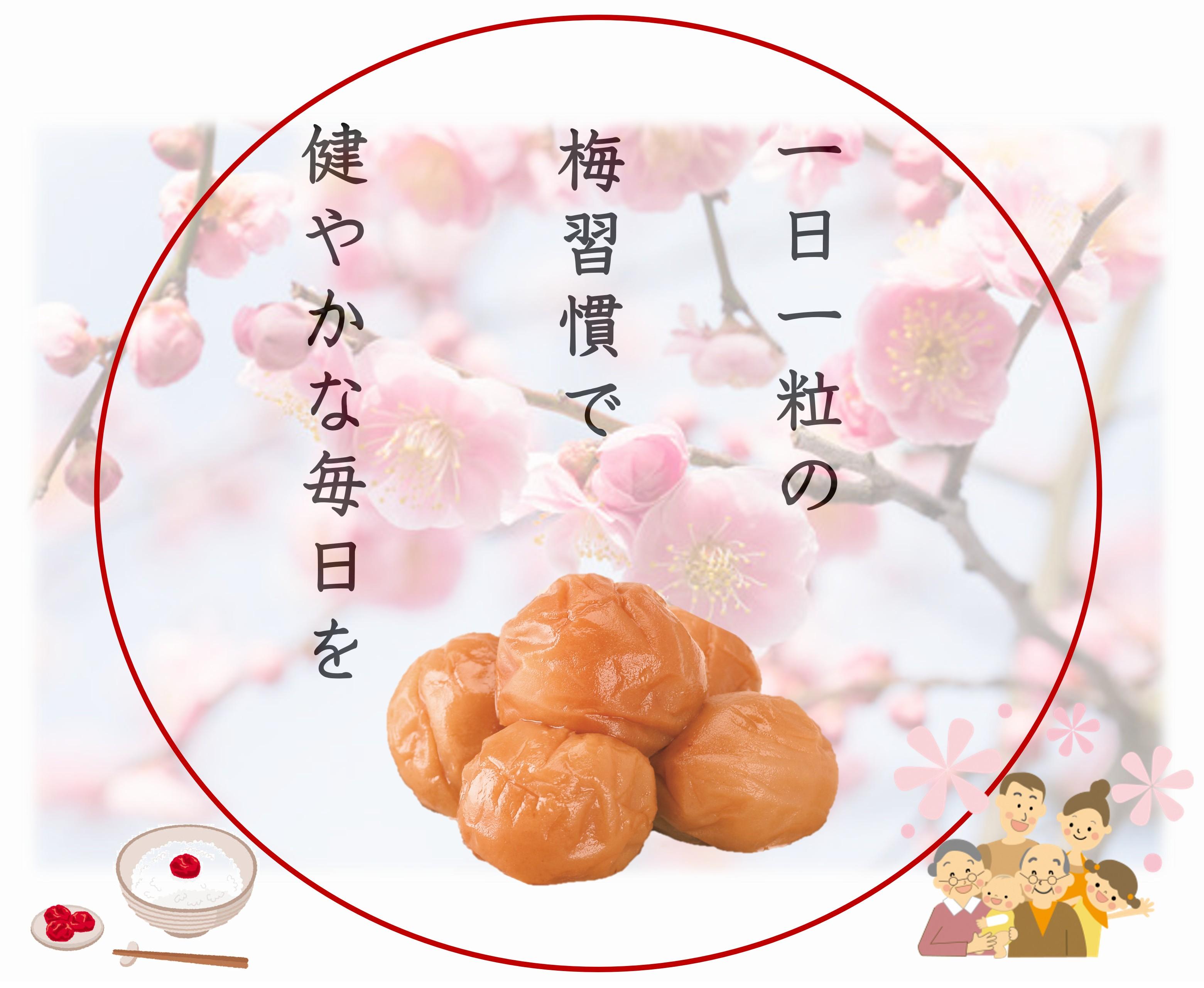 紀州南高梅 プレミアム 塩分約3％ 500g ［YM11m］ yamada010A