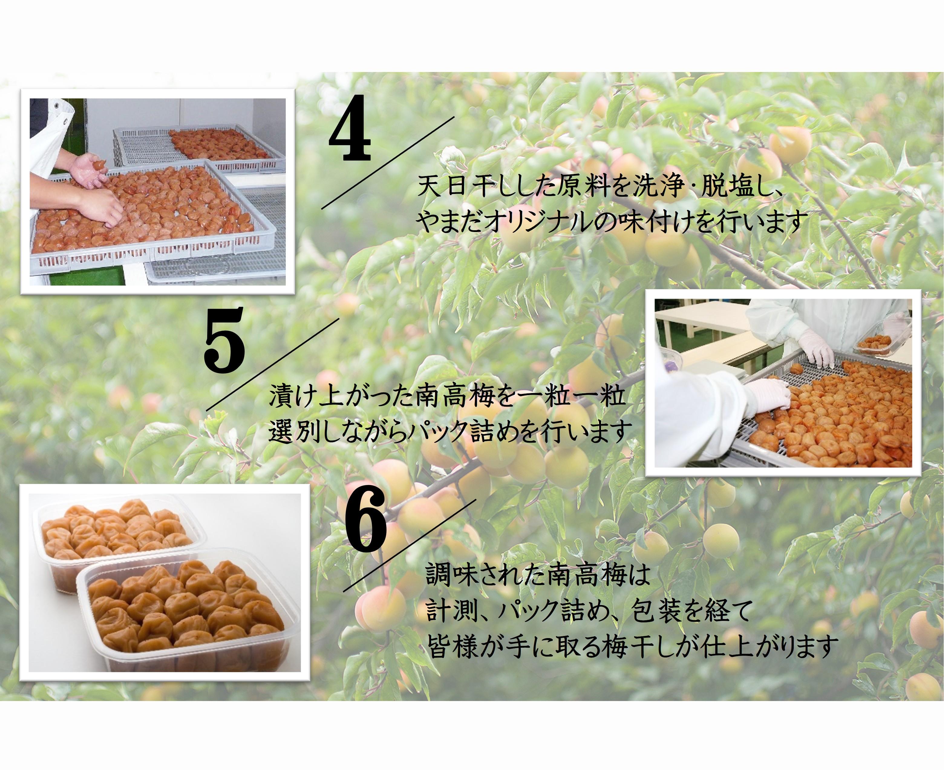 厳選 紀州南高梅 四種詰合せ 各200g×1 合計4箱 yamada013A