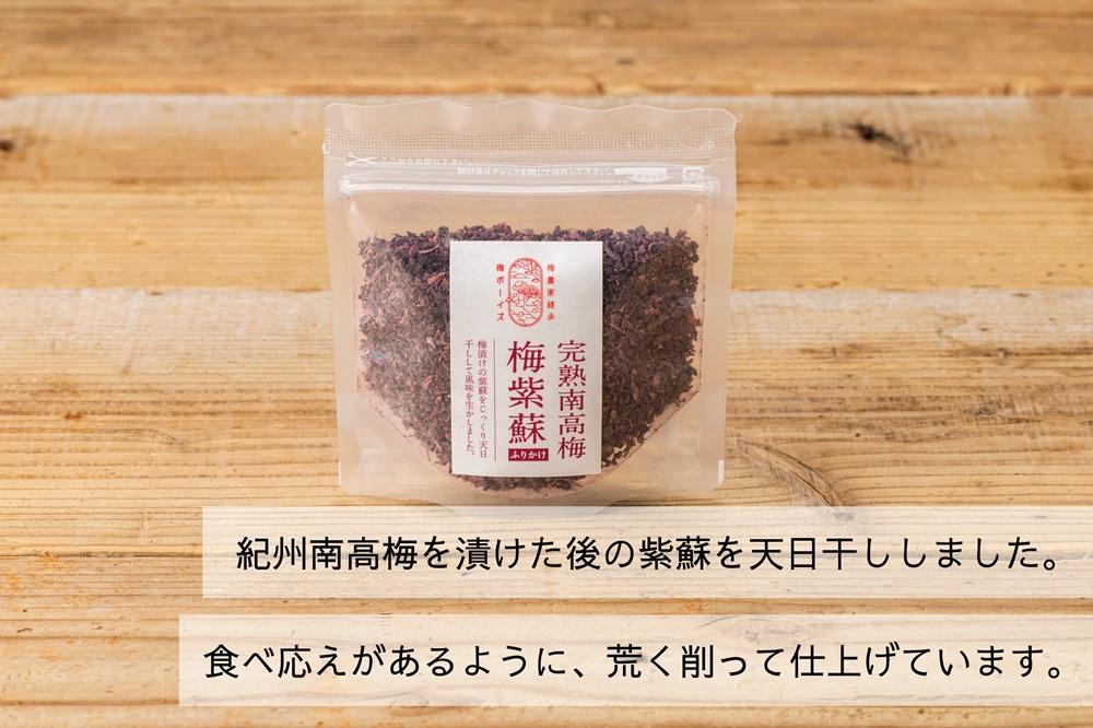 【身体を想う無添加ギフト】紀州南高梅 人気の梅干し詰め合わせ 梅ボーイズ　umehkr012A