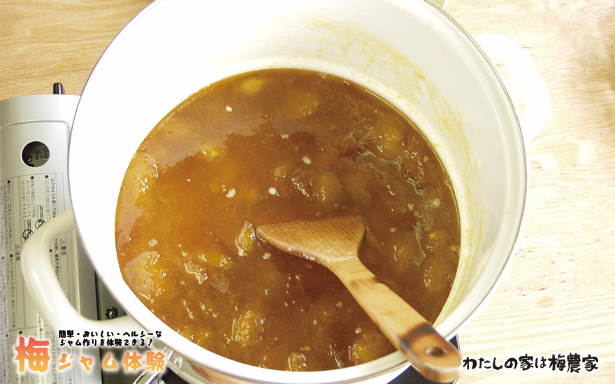 カラフル梅ジュース＆梅ジャムづくり体験チケット  iwasho004A