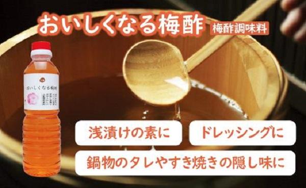 梅満喫セット 特選A級 紀州南高梅 味わい4種800g 千年の知恵 梅干し 梅札 和歌山県産 hoso015A