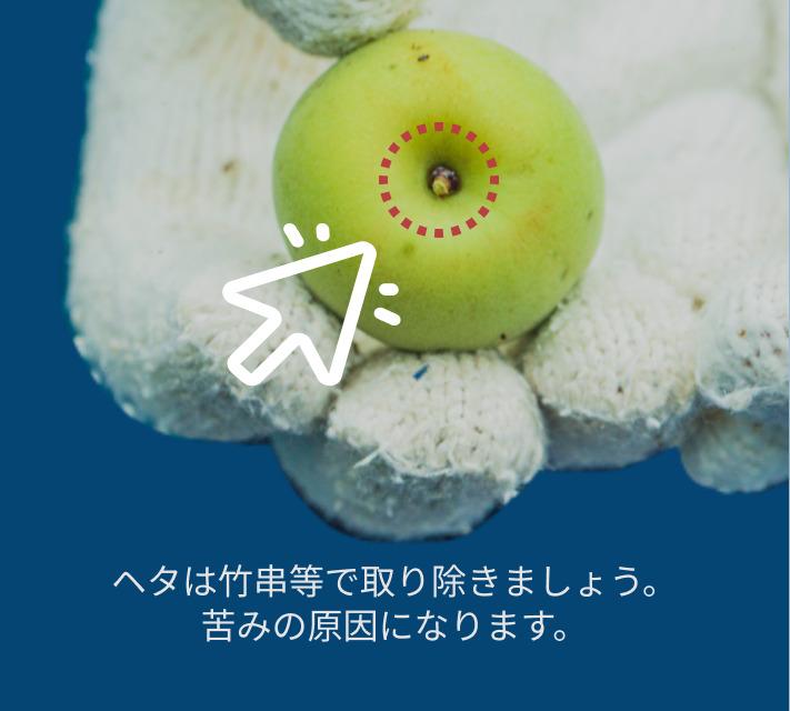 ［先行予約］樹上南高梅の青梅 約5kg 追熟用 梅ボーイズ 紀州南高梅 5月中旬～6月中旬頃に順次発送予定 B-506