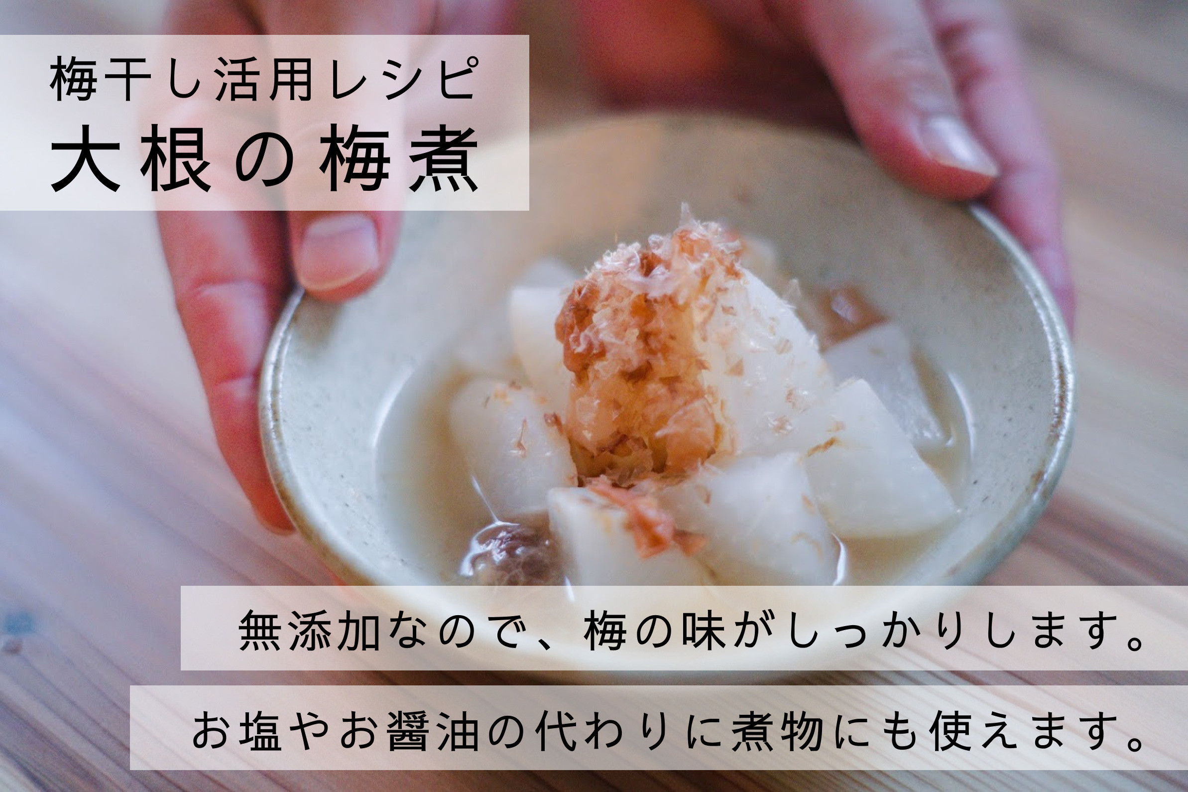 【梅ボーイズ】無添加 紀州南高梅の梅チューブ6本セット（塩・紫蘇）天日塩使用 umehkr021