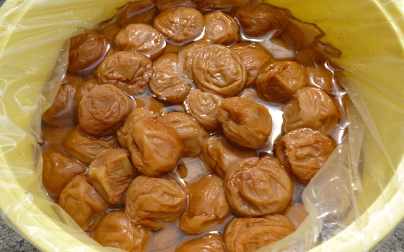 【塩分約10％】和歌山県紀州南高梅つぶれ  しそ漬け 訳あり 500g×2 【agrjpn004A】