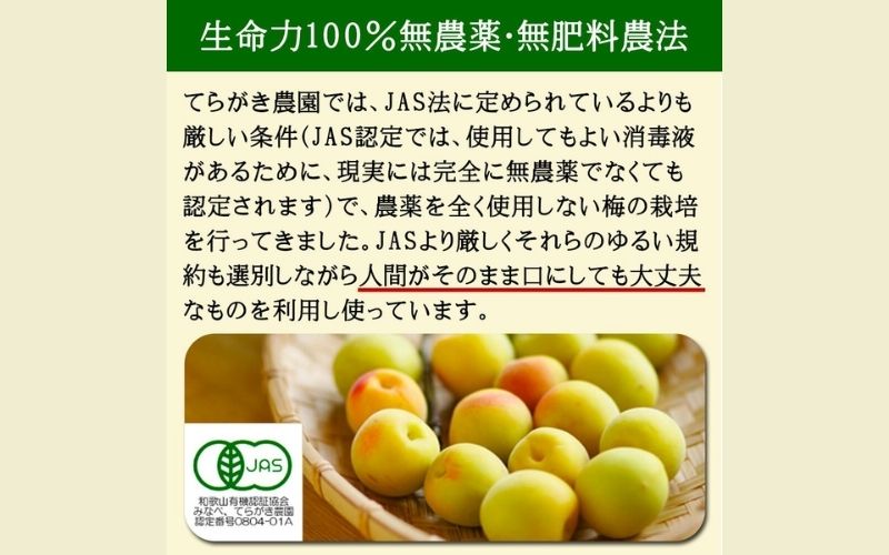 完熟梅エキス 50g 南高梅使用 trgk002A【trgk002A】