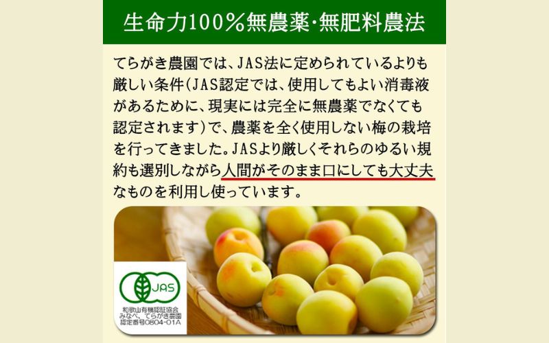 梅の黒焼き 30g 南高梅使用 trgk004A【trgk004A】