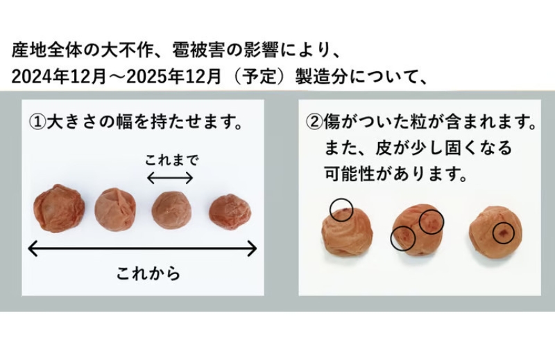 【常温保管可能 】天日塩と紫蘇だけで漬けた無添加梅干し3Kg／南高梅 【umehkr004A】