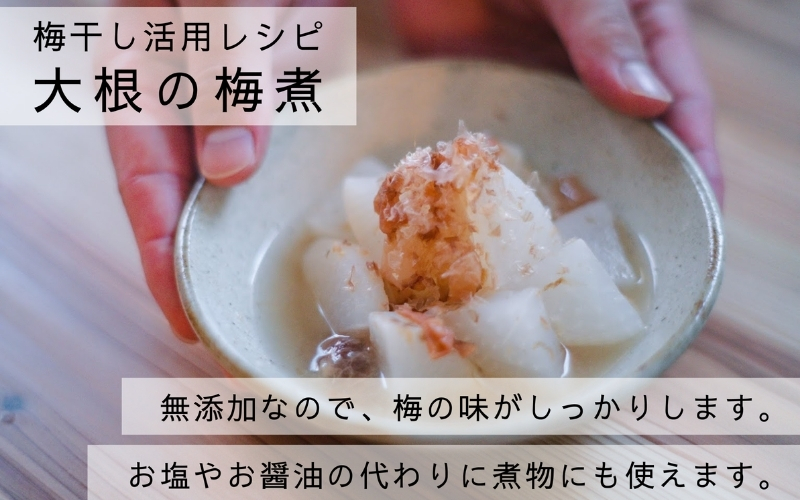 【梅ボーイズ】無添加 紀州南高梅の梅チューブ4本セット（塩・紫蘇）天日塩使用 【umehkr020】