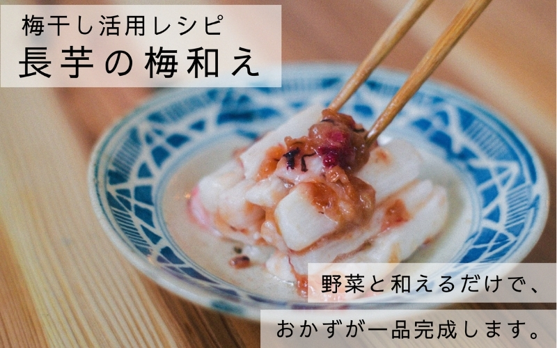 【梅ボーイズ】無添加 紀州南高梅の梅チューブ6本セット（塩・紫蘇）天日塩使用 【umehkr021】