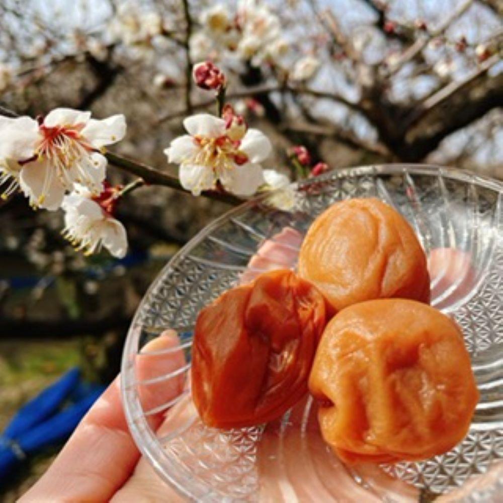 【本気の酸っぱい梅干】愛ちゃんの紀州梅 600g aisu001A