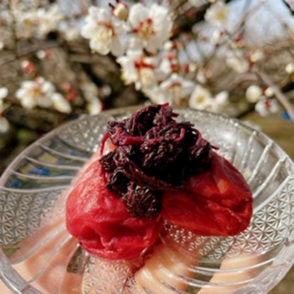 【ちょうどいい塩梅】愛ちゃんの紫蘇漬 600g aisu002A