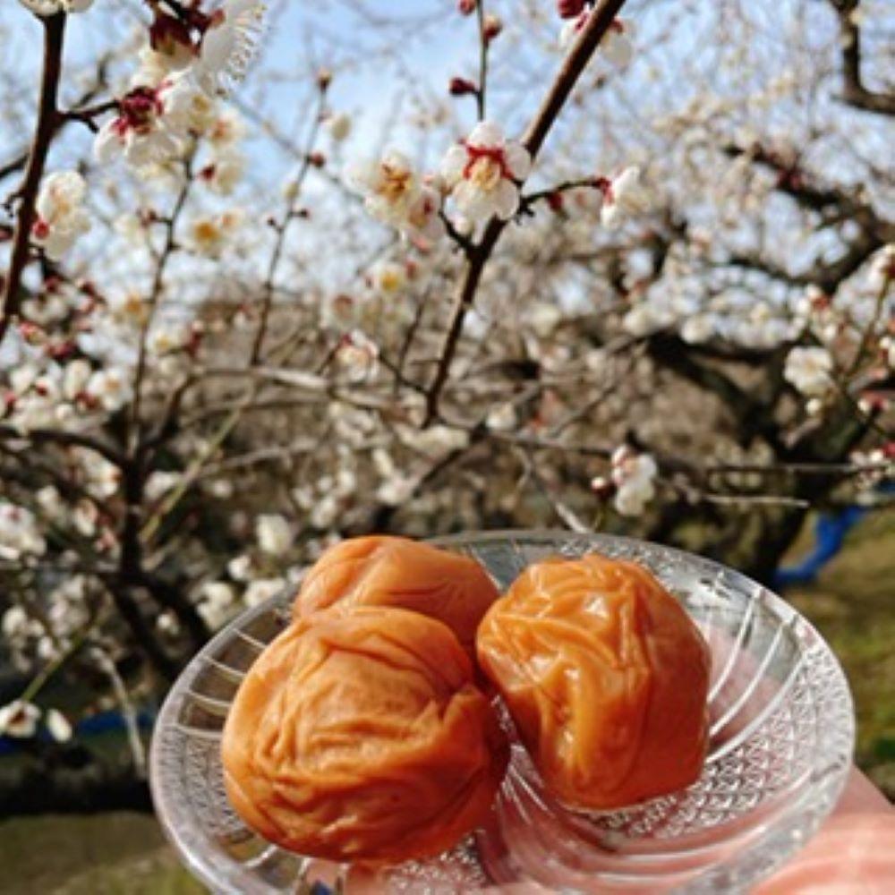 【甘くてフルーティー】愛ちゃんの田舎漬 600g aisu003A