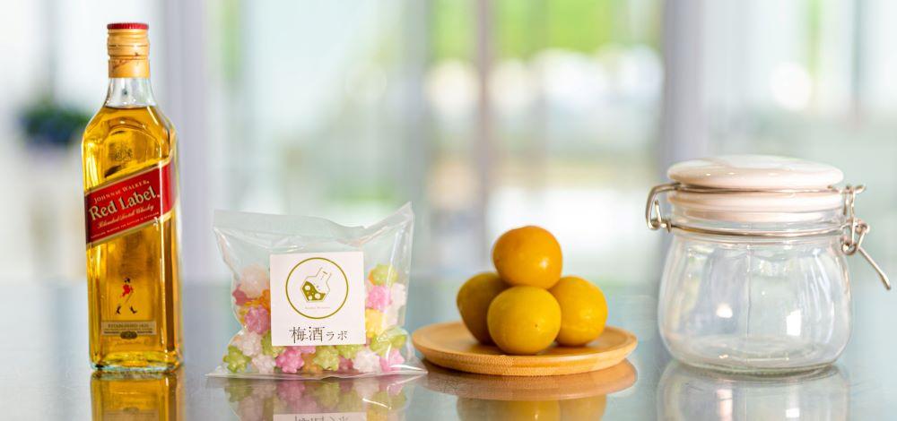 梅酒作成ミニキット（ウイスキーベース）umslabo001A