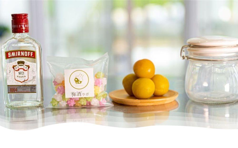 梅酒作成ミニキット（ウォッカベース）umslabo002A