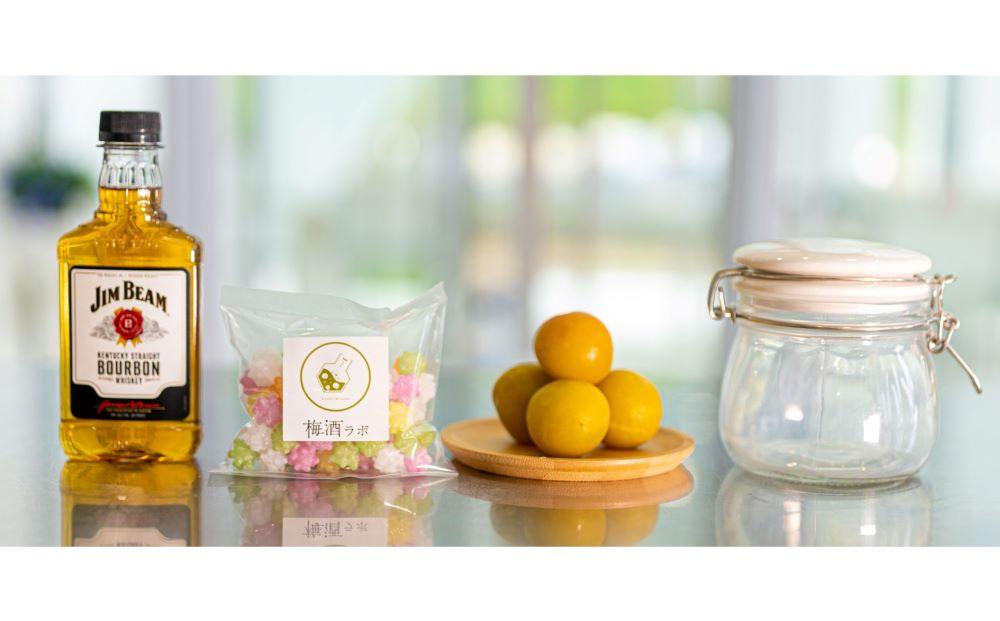 梅酒作成ミニキット（バーボンベース）umslabo003A