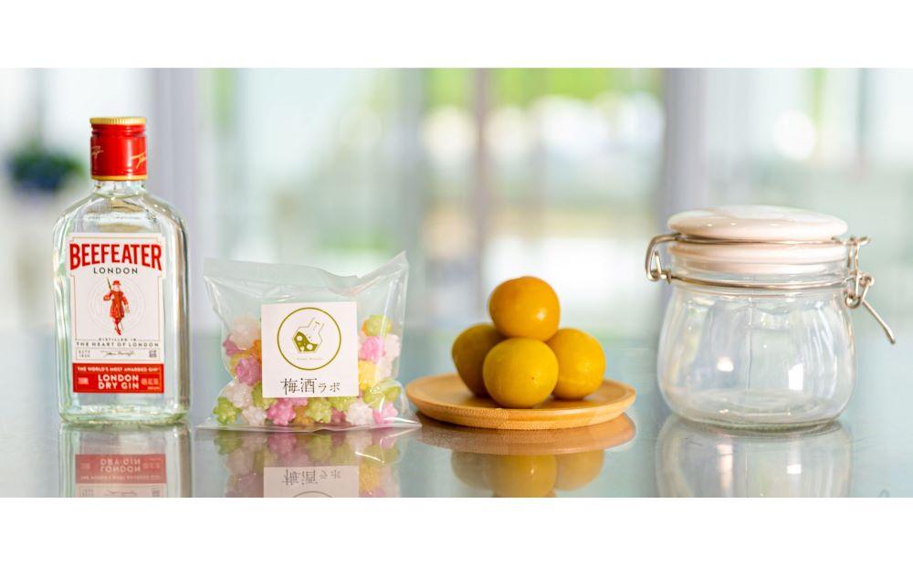 梅酒作成ミニキット（ジンベース）umslabo004A