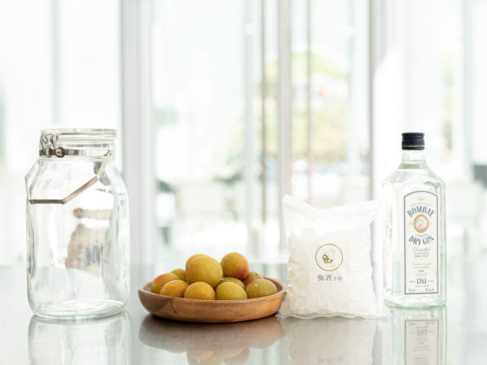 梅酒作成スタンダードキット（ジンベース）  umslabo009A