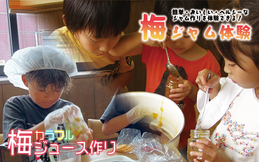 カラフル梅ジュース＆梅ジャムづくり体験チケット  iwasho004A