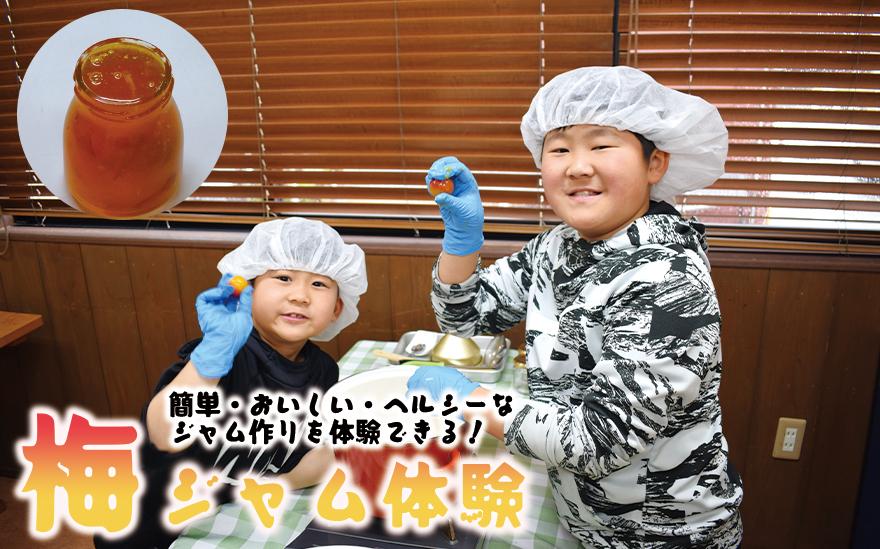 梅ジュース＆梅ジャムづくり体験チケット  iwasho013A