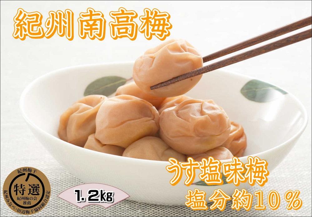 紀州南高梅　うす塩　yplu011A