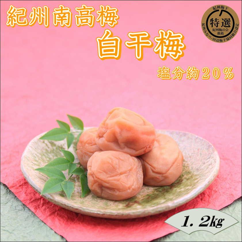 紀州南高梅　白干梅　yplu014A