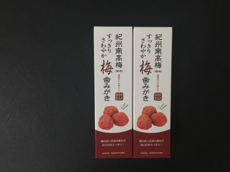 紀州南高梅　すっきりさわやか梅歯みがき　koya001A