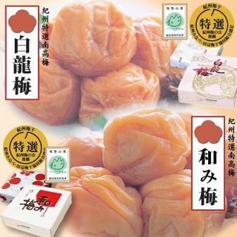 甘さ色々・梅干2品　yokosho003A