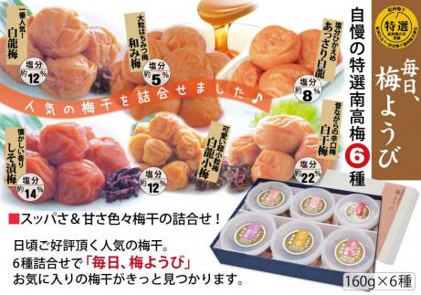 自家梅園産　完熟南高梅詰合せ「毎日梅ようび」　yokosho007A