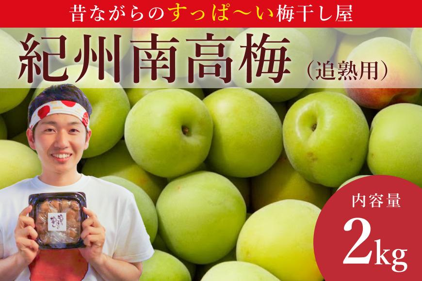 ［先行予約］樹上南高梅の青梅 約2kg 追熟用 梅ボーイズ 紀州南高梅 5月中旬～6月中旬頃に順次発送予定 A-093a