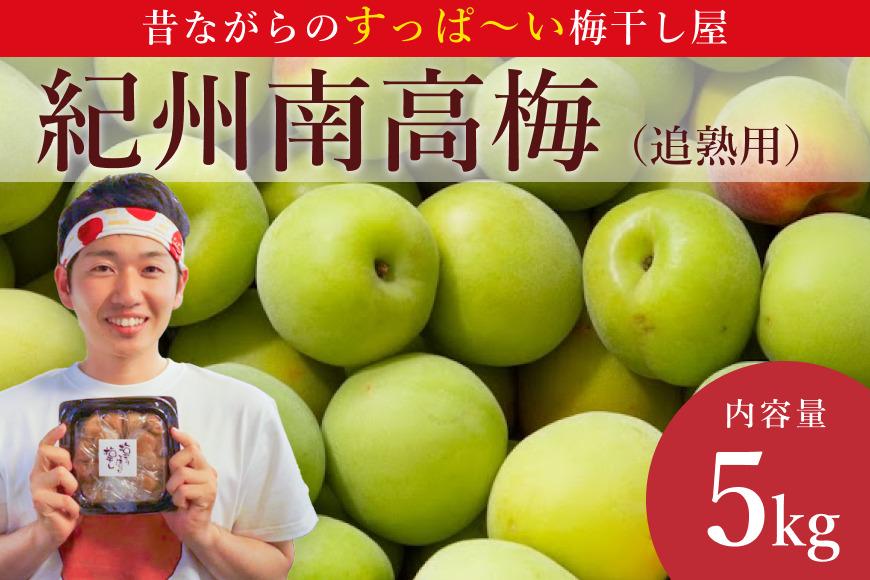 ［先行予約］樹上南高梅の青梅 約5kg 追熟用 梅ボーイズ 紀州南高梅 5月中旬～6月中旬頃に順次発送予定 B-506