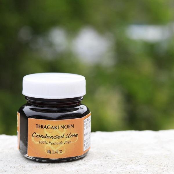 完熟梅エキス 50g 南高梅使用 trgk002A