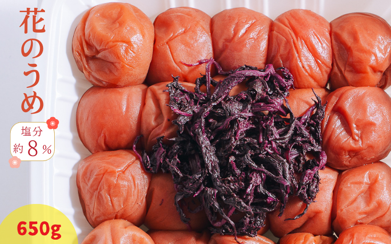 紀州南高梅 花のうめ（しそ漬け）650g 塩分約8％ | 【梅干し しそ 梅 ギフト 和歌山県産】【ngao004A】