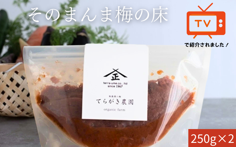 そのまんま梅の床・てんさい糖 250g×2 trgk001A【trgk001A】