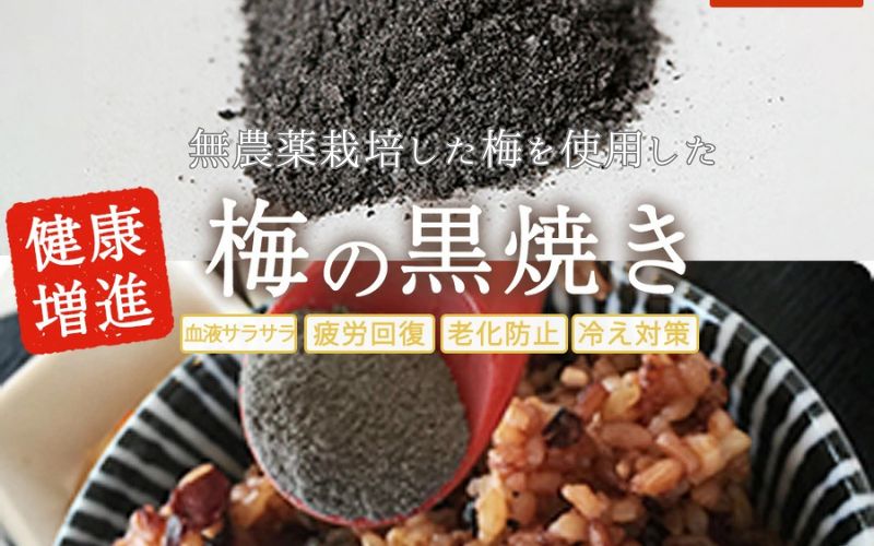 梅の黒焼き 30g 南高梅使用 trgk004A【trgk004A】