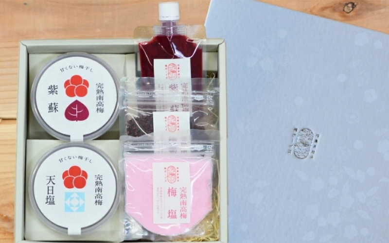 【身体を想う無添加ギフト】紀州南高梅 人気の梅干し詰め合わせ 梅ボーイズ　【umehkr012A】