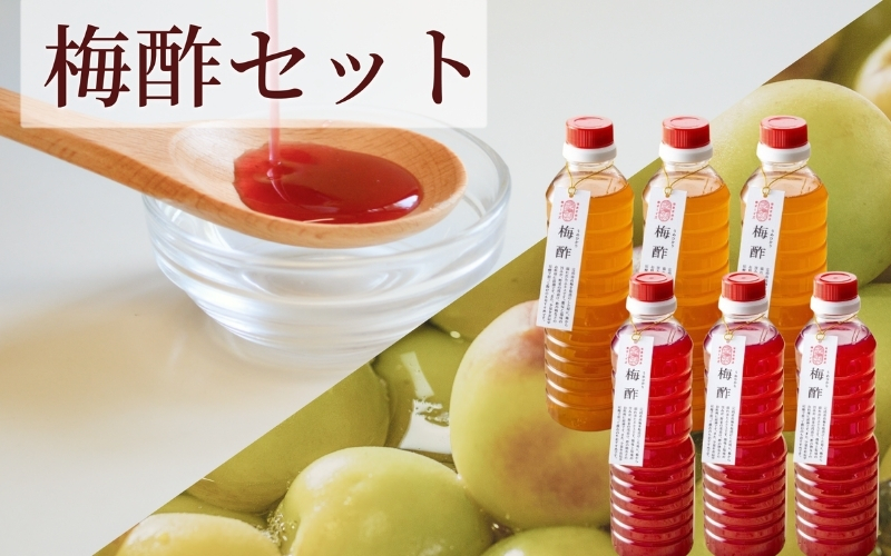 【梅ボーイズ】無添加 紀州南高梅の梅酢6本セット（白・紫蘇）天日塩使用 【umehkr024】