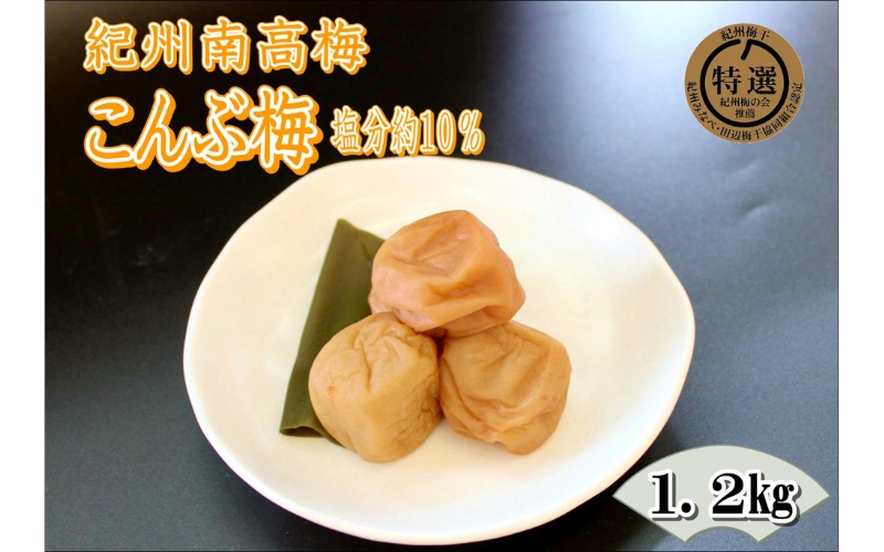 紀州南高梅　昆布梅　1.2kg　塩分10%【yplu010B】