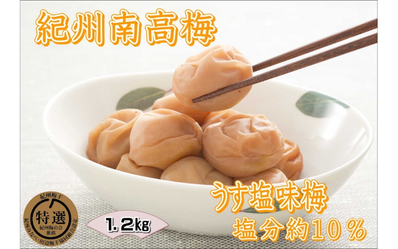 紀州南高梅　うす塩　塩分10% 1.2kg【yplu011B】