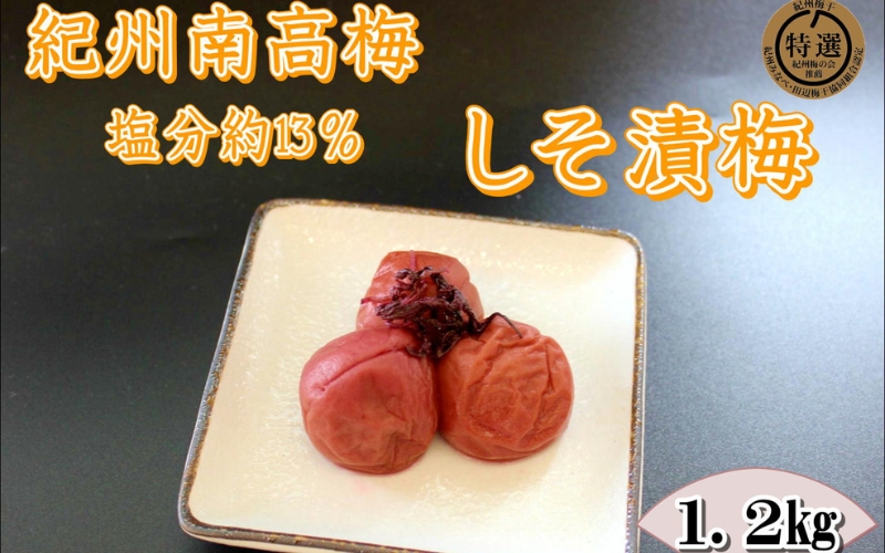 紀州南高梅　しそ漬梅干　1.2kg　 塩分13%　【yplu012B】