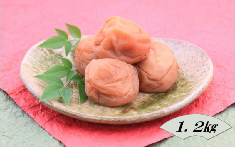 紀州南高梅　白干梅　1.2kg　塩分20%【yplu014B】