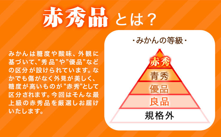 【先行予約】赤秀品 紀州有田産 濃厚完熟温州みかん 3kg (MサイズまたはSサイズ) 魚鶴商店《2026年11月下旬-2027年1月下旬頃出荷》和歌山県 日高川町 みかん ミカン 蜜柑 フルーツ 柑橘---wshg_uot172_11g1g_25_12000_3kg---