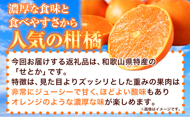【先行予約】 とろける食感!ジューシー柑橘 せとか 約3kg 株式会社魚鶴《2026年2月下旬-3月下旬頃出荷》 和歌山県 日高川町 みかん 柑橘 果物 フルーツ 送料無料---wshg_uot105_2g3g_25_18000_3kg---