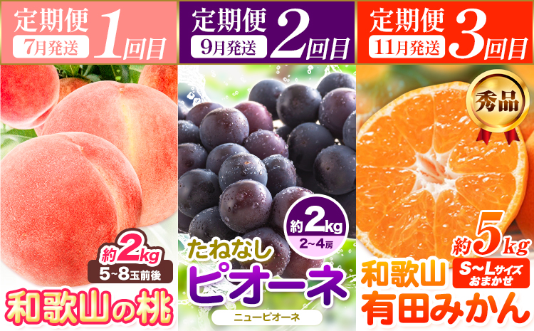 人気フルーツ全3回（7月・9月・11月）定期便 厳選館《7月上旬-11月末頃出荷》和歌山県 日高川町 果物 フルーツ 和歌山の 桃 種なし ピオーネ 有田 みかん 送料無料【配送不可地域あり】{【配送不可地域あり】---wshg_tmttei3_26_43000_7911y3---