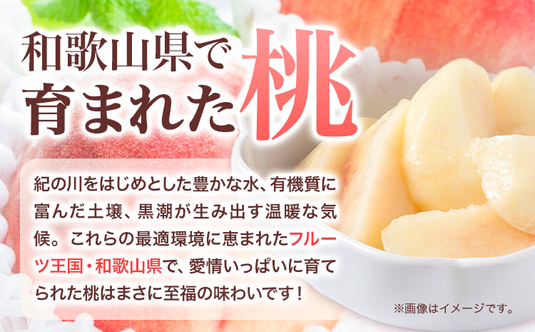 和歌山の桃秀選品約4kg(9～15玉入り)1箱厳選館《2024年6月末-8月下旬出荷》果物フルーツ桃もも---wshg_cgenmm_dk68_22_27000_4kg---｜桃あかつき桃白鳳桃日川白鳳桃八旗白鳳桃桃清水白桃桃川中島白桃つきあかり桃和歌山の桃白桃桃