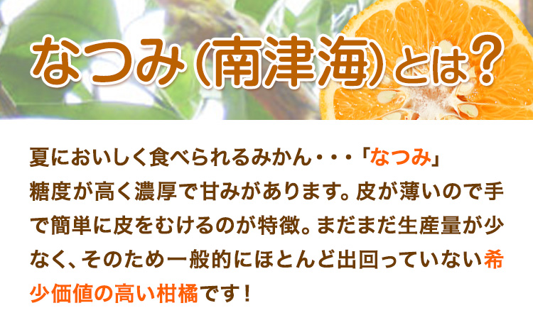 ＜先行予約＞初夏のみかん なつみ 約 3kg 株式会社 魚鶴商店《2026年4中旬-4月下旬頃出荷》 和歌山県 日高川町 みかん なつみ 南津海 柑橘 果物 フルーツ 送料無料---wshg_uot133_4c4g_25_11000_3kg---
