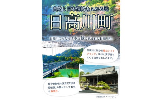 日高川町内の観光施設で利用できる「利用券」15,000円(500円券×30枚)きのくに中津荘《30日以内に出荷予定(土日祝除く)》---iwshg_kfknkr_30d_23_50000_30i---