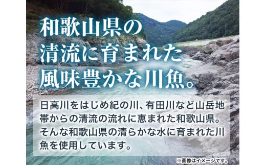 「旨いはずです。」特選あゆ一夜干しセット(13枚入)日高川漁業協同組合《90日以内に出荷予定(土日祝除く)》あゆ鮎魚一夜干し---wshg_fhgtayuh_90d_22_14000_13p---